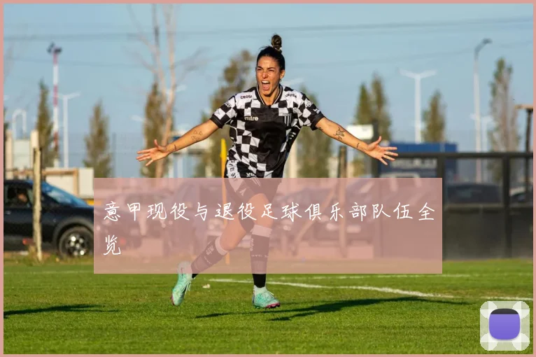 意甲现役与退役足球俱乐部队伍全览