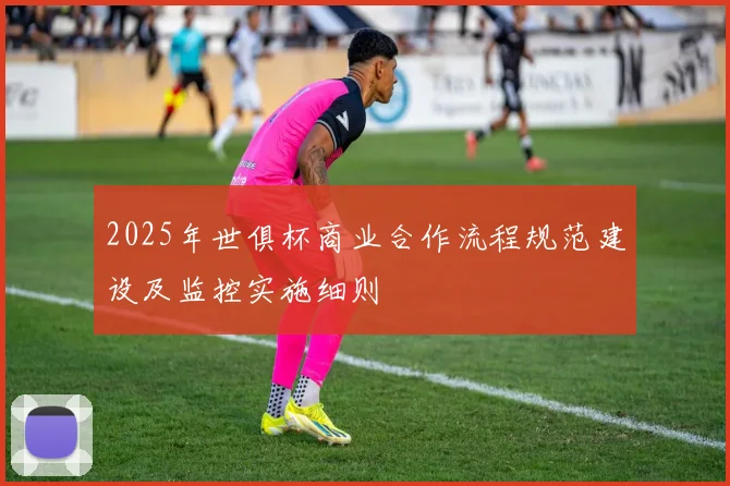 2025年世俱杯商业合作流程规范建设及监控实施细则