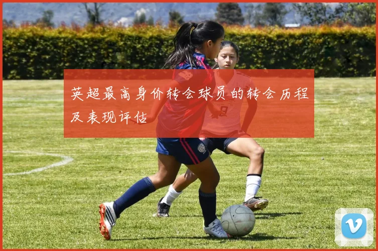 英超最高身价转会球员的转会历程及表现评估