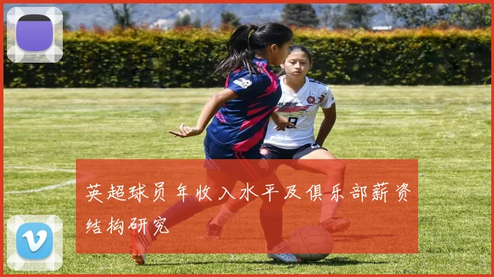 英超球员年收入水平及俱乐部薪资结构研究