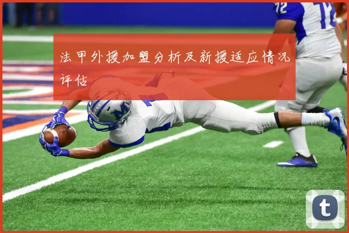 法甲外援加盟分析及新援适应情况评估
