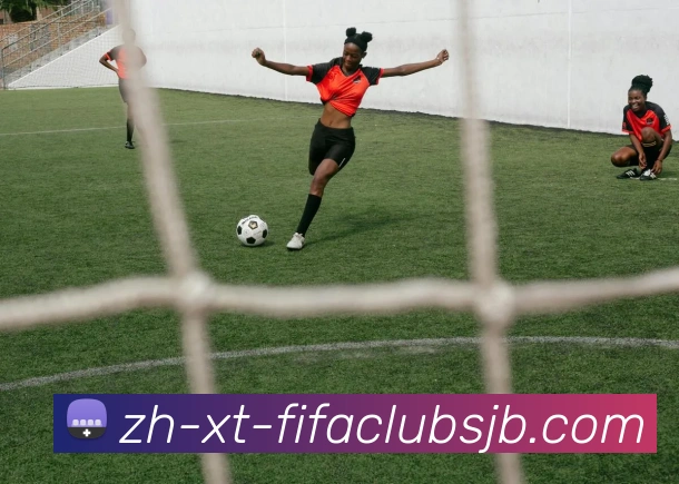 世界杯赛程平台生态图