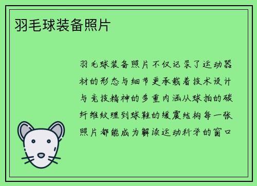羽毛球装备照片
